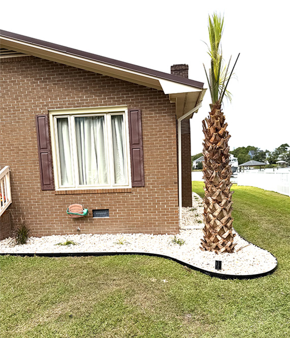 Front yard landscape design featuring a palm tree, decorative white stone, clean landscape edging, and a well-maintained residential lawn.