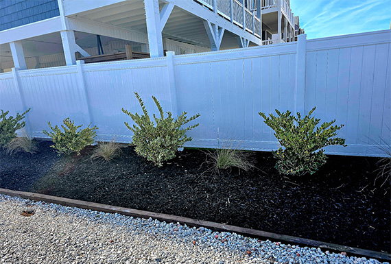 Fresh mulch landscape bed with evergreen shrubs, ornamental grasses, and decorative edging installed along a residential privacy fence.